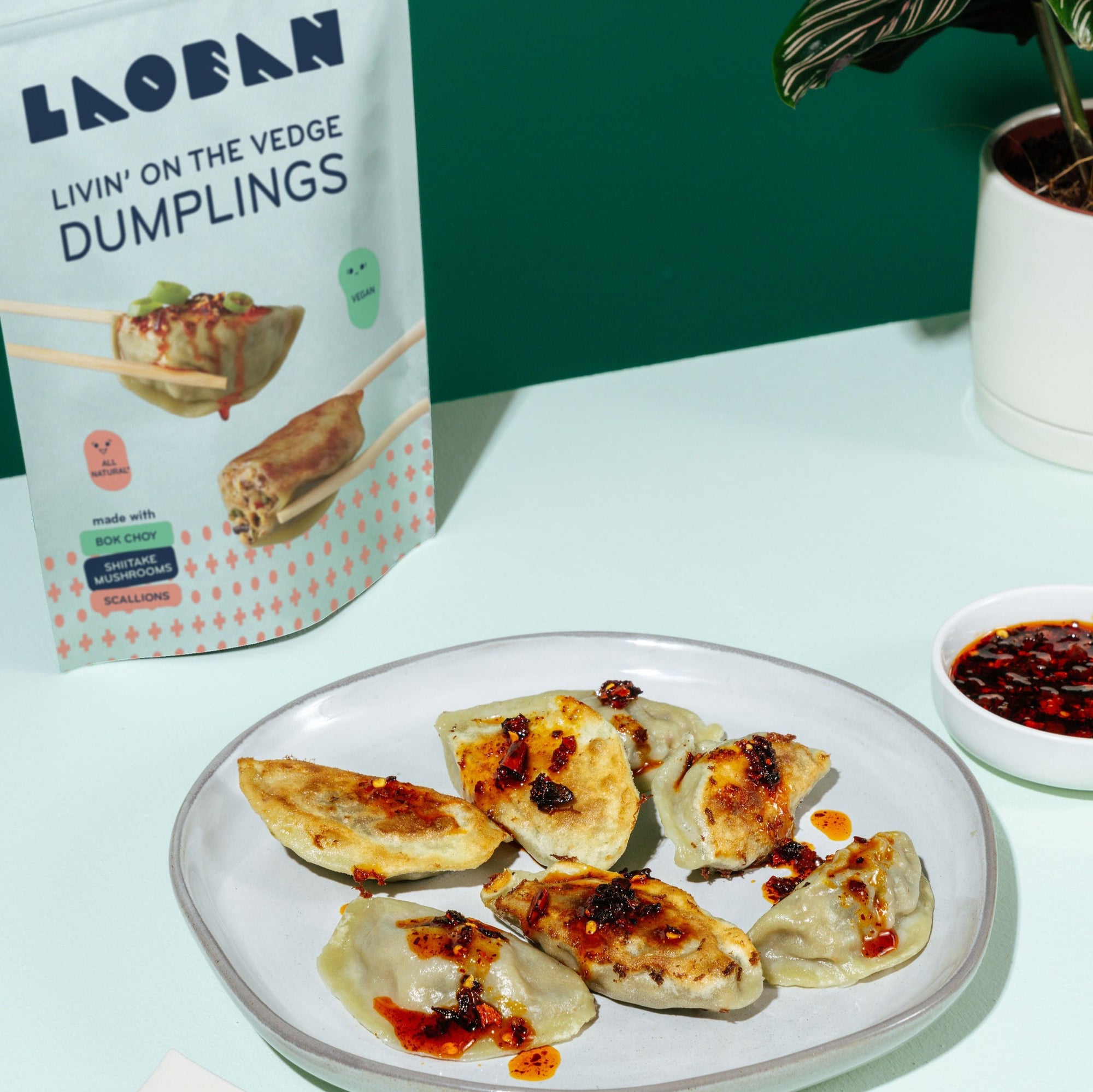 Vegetable Dumplings