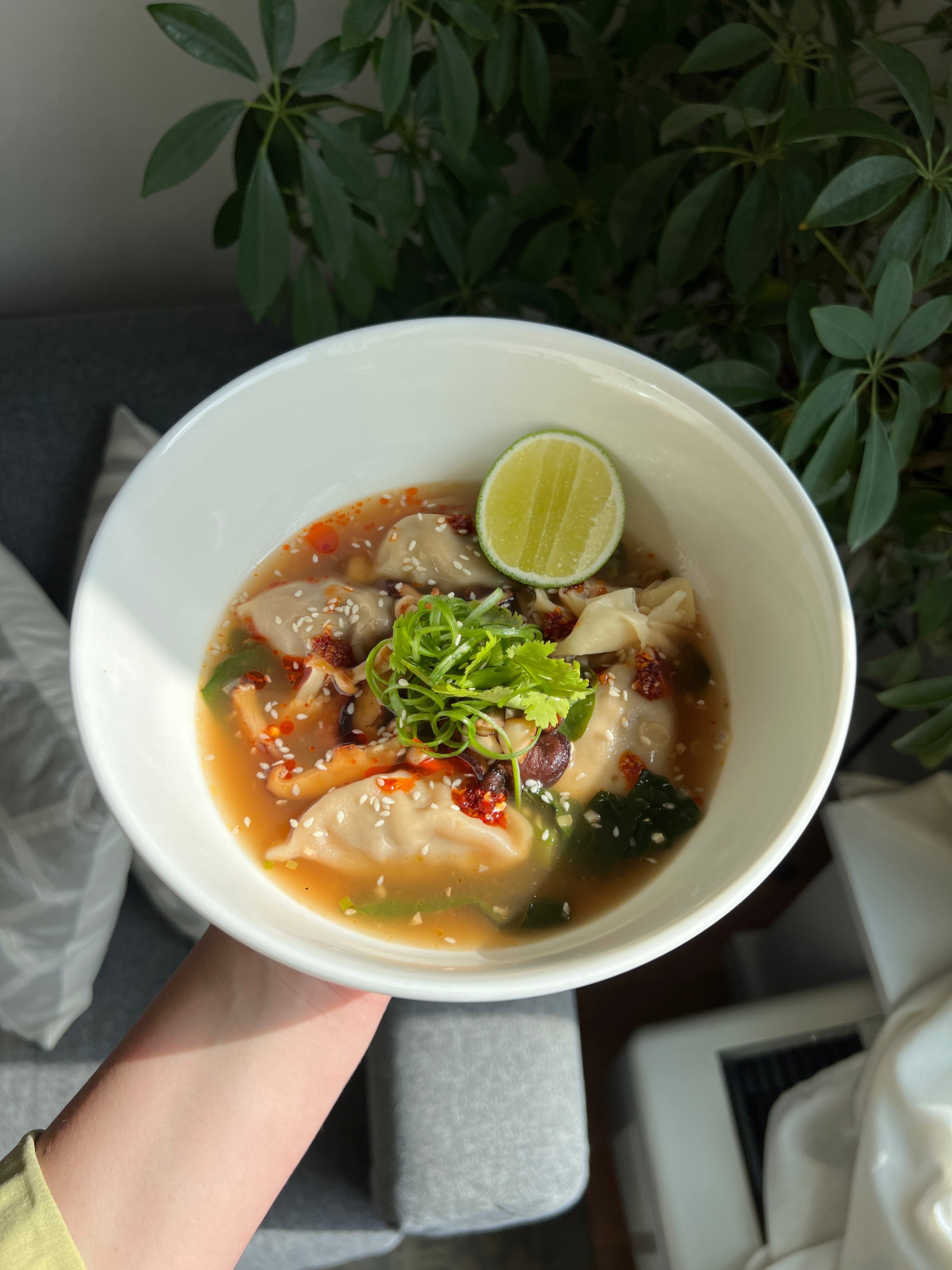 Dumpling Soup with Mushrooms and Chinese Broccoli