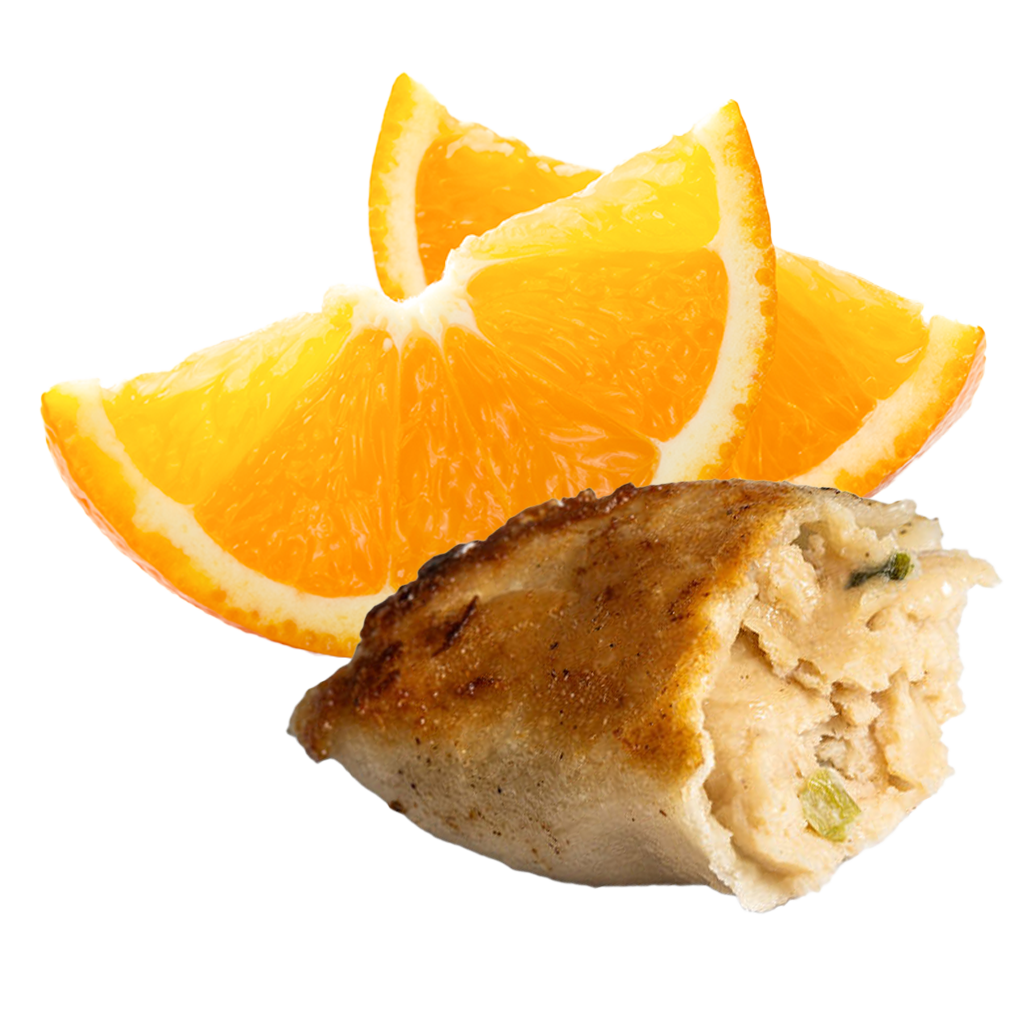 Pan Seared Dumpling Orange Salad