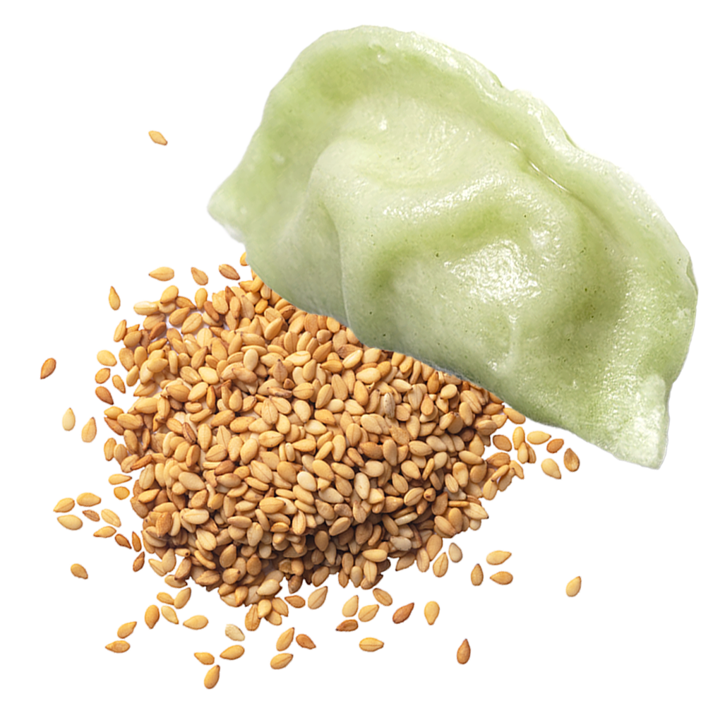 Sesame Bottom Dumplings